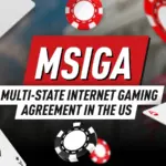 Законодательство США Часть 3 – MSIGA Объединение игроков в онлайн-покер США