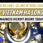 Серия USOP Vietnam Ha Long Bay наконец началась — 14 дней действий!