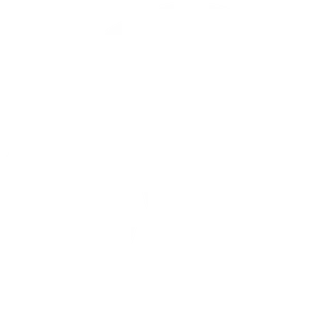 Rainbet